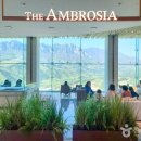 더엠브로시아 이미지