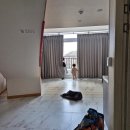 신시도 | 아이와 가기좋은 군산여행 | 신시도자연휴양림 상현달 객실 후기