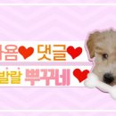 멍리단길 이미지