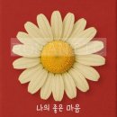감성인테리어