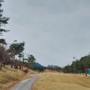 광주광역시도시공사빛고을골프장 이미지