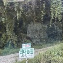현대농원