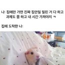 다모아분식 이미지