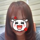 샤론헤어샵 네이버블로그