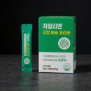 베스트앤솔루션 | 자일리앤 구강유산균 효과 성분 내돈내산 후기 가격 부작용 정리