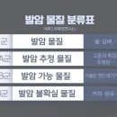파장군