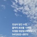 천안오성중학교 | [천안 두정고 1학년 ]두정고 기말고사 |최초의 가사작품 상춘곡 | 논밭 갈아 김 매고| 암기 내용 정리!!