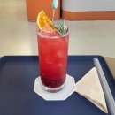 오델리스 이미지