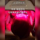 더퍼펙트뷰티연구소