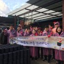 무주읍 행정복지센터 이미지