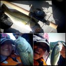 백야낚시터 이미지