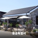 용궁시장 | 예천 여행 용궁면 용궁특별시 카페 방문 후기