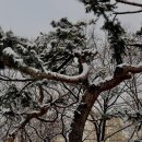 우장산공원 이미지