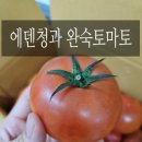 에덴청과 - 동해시 이원길 182 | 에덴청과