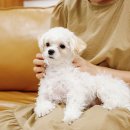 투게더 동물병원 이미지