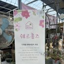 쉐르홈즈