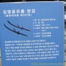 김명윤유품쌍검 이미지