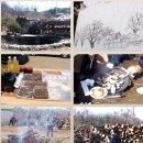 양평산수유펜션 이미지