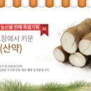 안동농산 이미지