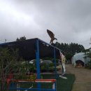 용천농원 이미지