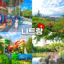 동화와 푸드놀이 | 나트랑 빈원더스 동물원 워터파크 놀이기구 등 입장권 후기