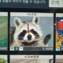 라쿤PC방 이미지