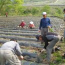 아림지역아동센터 이미지