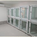 동산애견 이미지