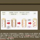 동네염색방 이미지