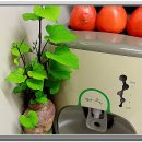 삼싹농장 이미지