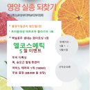 엘코스메틱