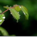 원미공원 이미지