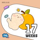 토마토종합약국 | [임신일기] #10 임신 17주-19주 | 티나게 배가 나오기 시작, 아토피와 소양증과의 싸움, 먹은 음식들