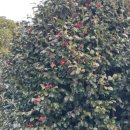 (주)강진정비 이미지