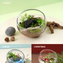 해들농장 | 🌿 이끼농장 테라리움 만들기, 왜 인기일까? 관리방법부터 키트 추천까지 총정리