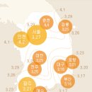 개화(아) 이미지