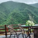 신선왕선 이미지