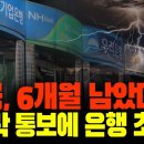 무디스 "한국 5대 은행 등 19개 은행 신용 줄줄이 하향" 전망... 무너지는 '마지막 보루' 이미지