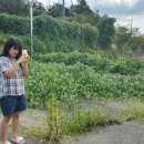 증암마을 이미지