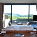 파인우드비치 이미지