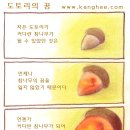 도토리의꿈 이미지