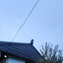 소소락락 이미지