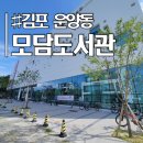 모담힐링카페