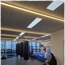 링맨복싱 이미지