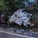 신철원감리교회 이미지