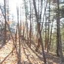 상천리-1 이미지