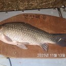 청도천4 이미지