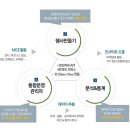 오투마켓