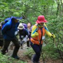 추성마을 이미지