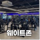코코환경 이미지